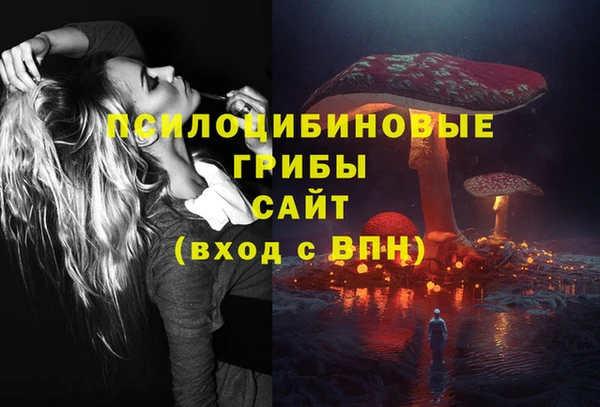 мдма Дмитров