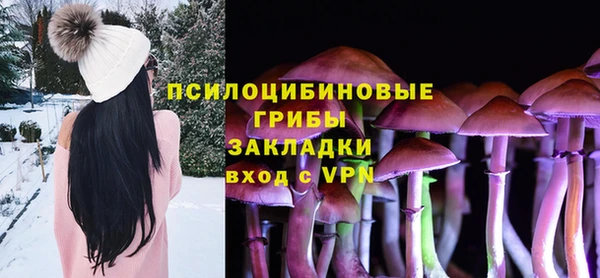 каннабис Дмитриев