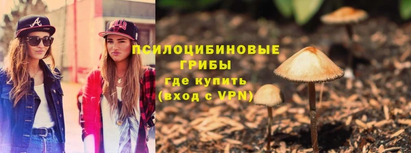 соль курить ск Дмитровск