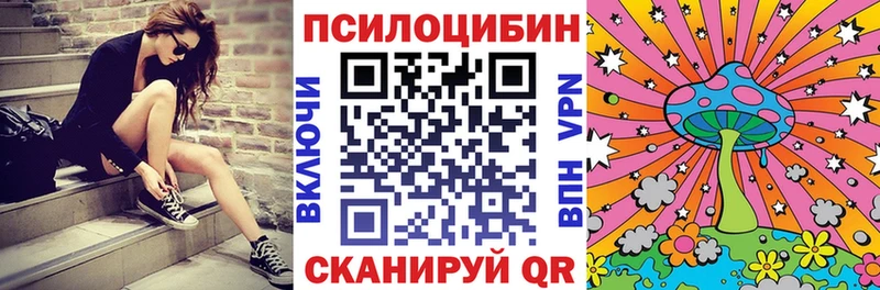 купить наркотик Жуковка Галлюциногенные грибы Psilocybine cubensis